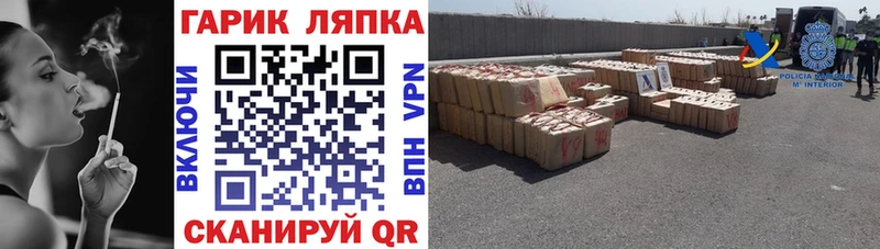 ГАШ Premium  Купить где  Строитель 