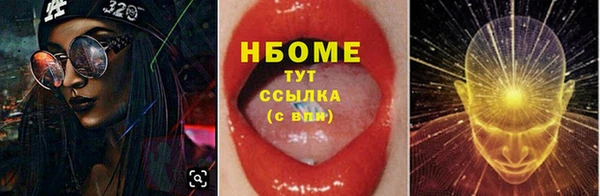 ПСИЛОЦИБИНОВЫЕ ГРИБЫ Баксан
