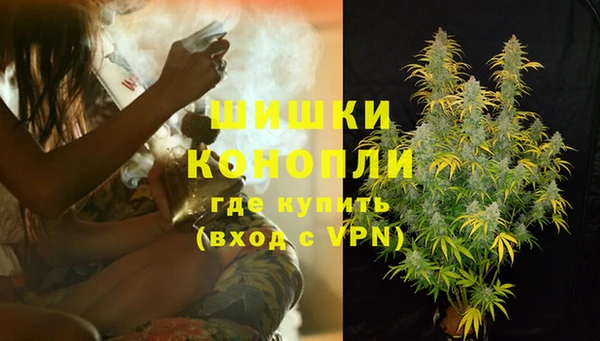 сатива Гусиноозёрск